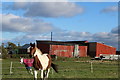 Horses & Sheds at Blairs