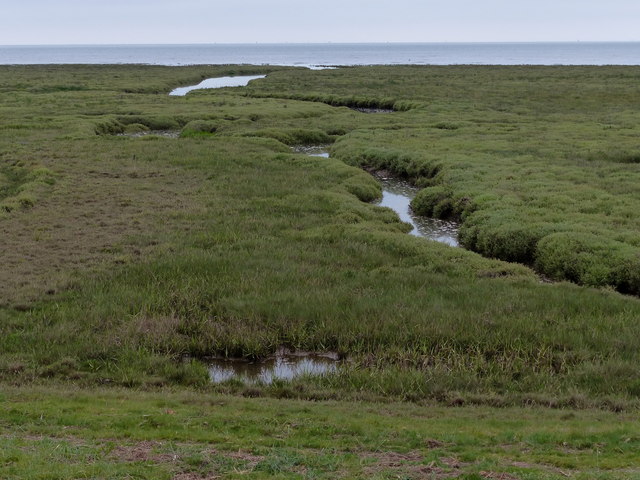 Tidal creek and salt marsh along The... © Mat Fascione :: Geograph ...