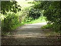 Nature Reserve path, Westley Heights,