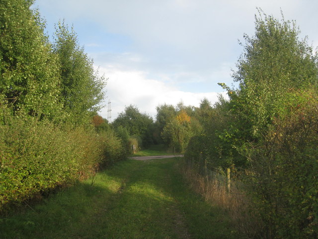 Footpath from New Lane to Whisby Hall