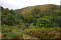 Glen at Castle Campbell