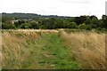 Footpath to Farmoor