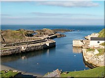 D0345 : Ballintoy Harbour from the roof of the Lime Kiln by Eric Jones