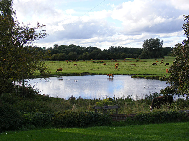 Pond on Freemen's Great Common