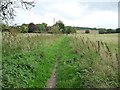 Unmapped path from the towpath to Parlow Bottom