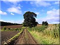 Track west of Sprucely Farm