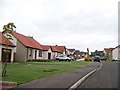 New houses in Errol