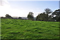 Mid Devon : Grassy Field