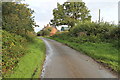 SK1733 : Muse Lane towards Muselane Farm by J.Hannan-Briggs