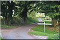 Mid Devon : Country Lane