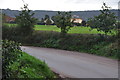 Mid Devon : Country Lane