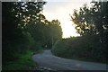 Mid Devon : Country Lane