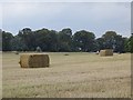 Bales, Dunbarney