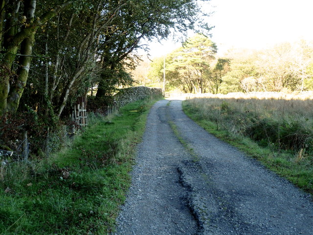 Farm track alongside Balloch Wood © Anthony O'Neil :: Geograph Britain ...