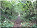 Gayton: Former Northampton & Banbury Junction Railway trackbed