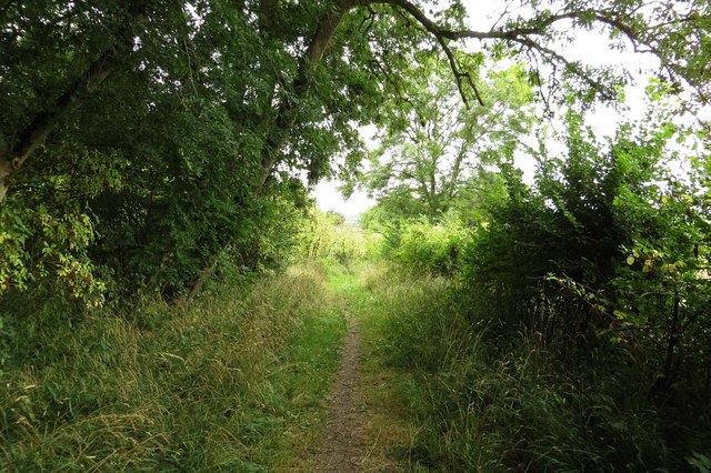 Footpath over Harrowdown Hill © Steve Daniels :: Geograph Britain and ...