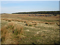 NU0731 : Looking across rough grassland towards Moss Ridge by Graham Robson