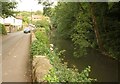 River Frome at Frenchay