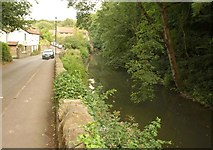 ST6477 : River Frome at Frenchay by Derek Harper