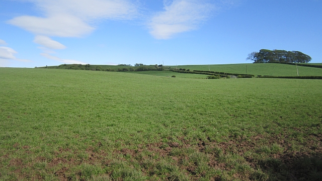 Ayrshire grassland