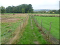 Path near Farleigh Green