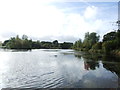 Lake at Sittingbourne Angling Club