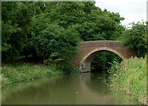SP6496 : High Bridge near Newton Harcourt, Leicestershire by Roger  D Kidd