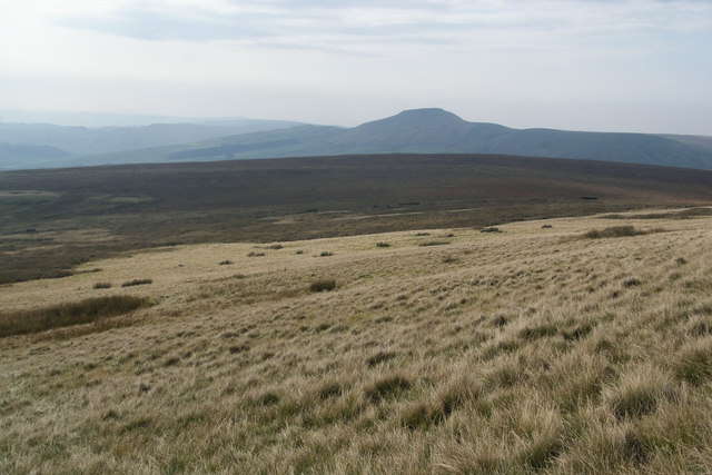 Moorland above Danethorn Hollow
