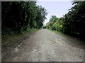 Saxon Shore Way leaving St. Margaret