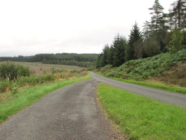 The road through the forest to Ae