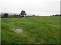 Derrygoon Townland