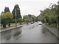 Davies Avenue - looking towards Old Park Road