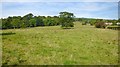 Field beside Gareloch Road