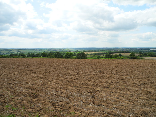 Arable land west of Mowlands Farm (3)