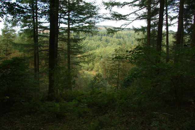 Macclesfield Forest near Trentabank... © Bill Boaden cc-by-sa/2.0 ...