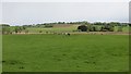 NX9572 : Grassland by Crooks Pow by Richard Webb