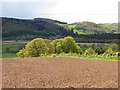NX9573 : Cultivated ground, Carruchan by Richard Webb