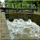 SP6396 : Filling Spinney Lock near Newton Harcourt, Leicestershire by Roger  D Kidd