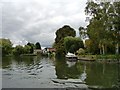 House alongside the Thames and St Patrick