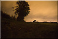 Fields at night, Melling