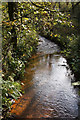 Stottencleugh Burn, Glenbuck