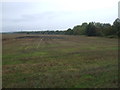 Farmland west off the B9130