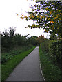 Footpath off Brook Farm Road