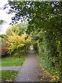 Footpath to Brook Farm Road