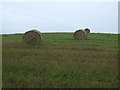 Recently harvested crop field, Carriston