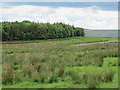 NY8597 : Moorland and plantation on Yatesfield Hill by Mike Quinn