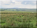 NY8597 : Moorland south of Yatesfield Hill by Mike Quinn