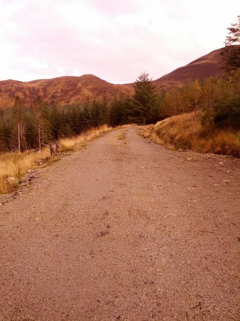 Looking up forestry track towards bealach between Beinn na Gucaig & Beinn Bhàn