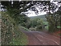 Track to the main road from Ivyton Farm