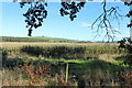 NX1456 : Farmland near Piltanton Bridge by Billy McCrorie